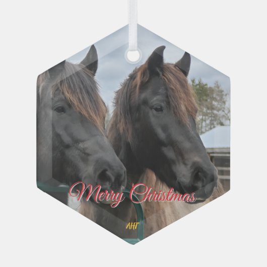 AHT Horse Rescue Glas Ornament (Voorkant)