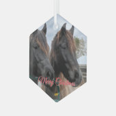 AHT Horse Rescue Glas Ornament (Voorkant links)
