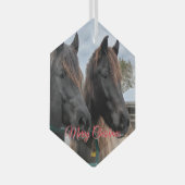 AHT Horse Rescue Glas Ornament (Voorkant Rechts)