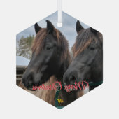 AHT Horse Rescue Glas Ornament (Achterkant)