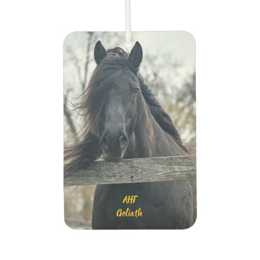 AHT Horse Rescue Goliath Luchtverfrisser (Voorkant)
