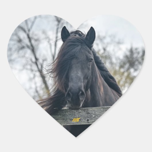 AHT Horse Rescue Hart Sticker (Voorkant)