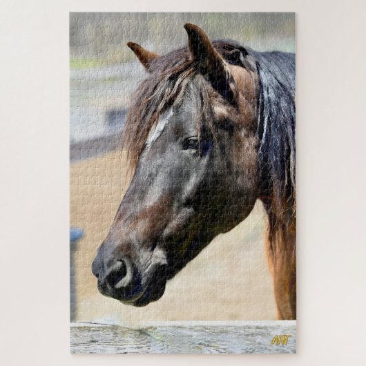 AHT Horse Rescue Legpuzzel (Verticaal)