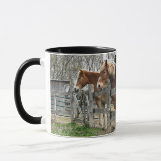 AHT Horse Rescue Mok
