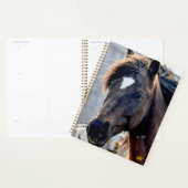 AHT Horse Rescue Planner (Display)