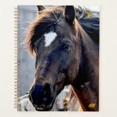 AHT Horse Rescue Planner (Voorkant)