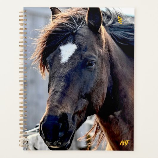 AHT Horse Rescue Planner (Voorkant)