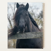 AHT Horse Rescue Planner (Achterkant)