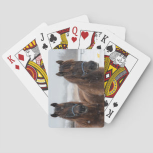 AHT Horse Rescue Pokerkaarten
