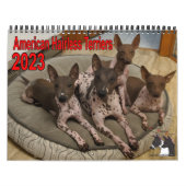 AHTCA 2023 American Hairless Terrier Calendar Kalender (Hoes)