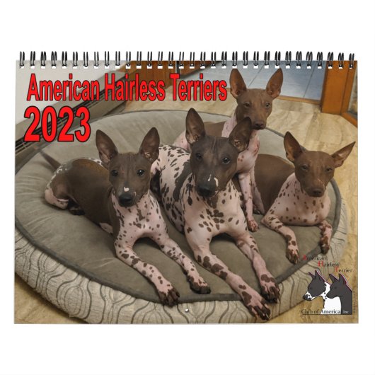 AHTCA 2023 American Hairless Terrier Calendar Kalender (Hoes)
