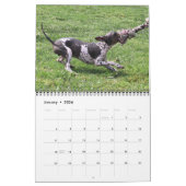 AHTCA 2023 American Hairless Terrier Calendar Kalender (Jan 2026)