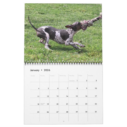 AHTCA 2023 American Hairless Terrier Calendar Kalender (Jan 2026)