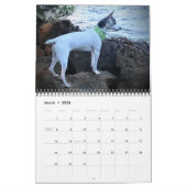 AHTCA 2023 American Hairless Terrier Calendar Kalender (Mar 2026)