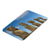 Ahu Akivi, Rapa Nui, Paaseiland, Chili 2 Magneet (Linkerzijde)