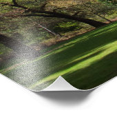 Ahwahnee Foto Afdruk (Hoek)