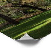 Ahwahnee Poster (Hoek)