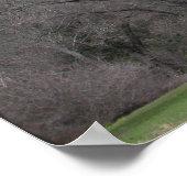 Ahwahnee- Yosemite Poster (Hoek)