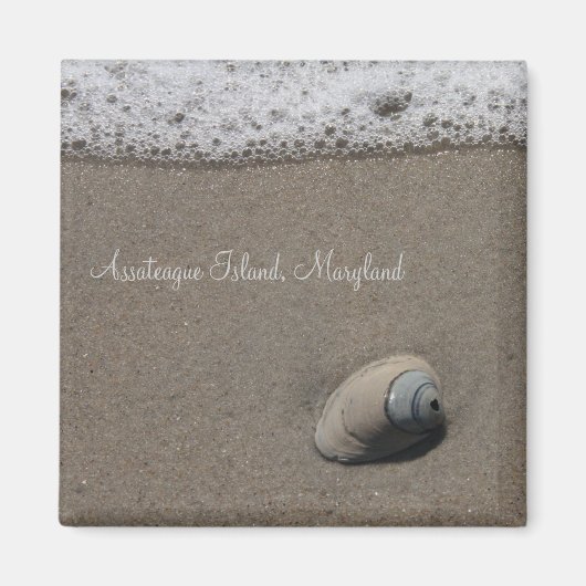 AI Clam Shell Magnet (Voorkant)