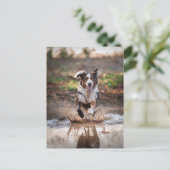 AI Dog Briefkaart (Staand voorkant)