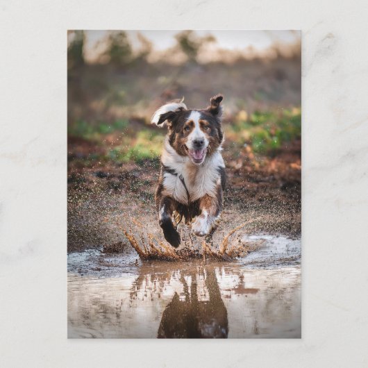 AI Dog Briefkaart (Voorkant)