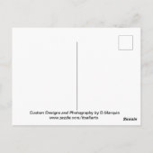 AI DOLPHIN ONTWERP #4 BRIEFKAART (Achterkant)