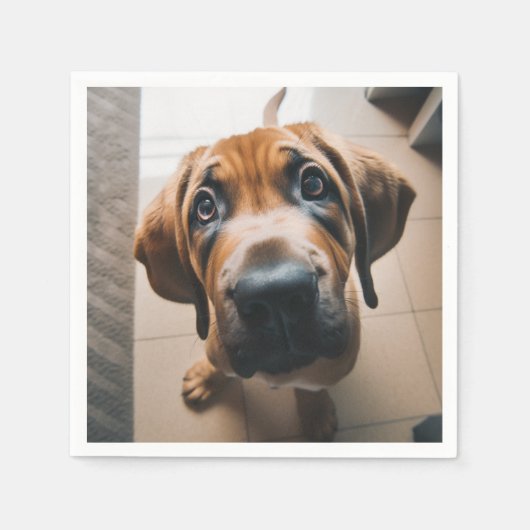 AI-hond Servet (Voorkant)