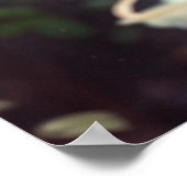 AI kunst Beauty en Mode Model Poster (Hoek)