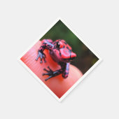 Ai Red Frog Servet (Hoek)