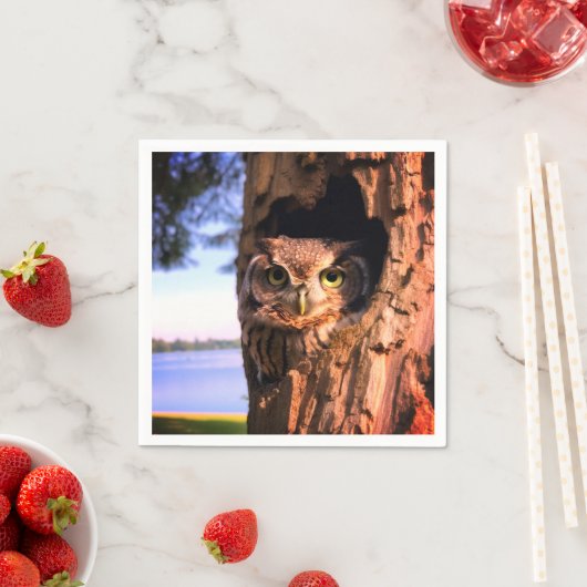 AI-uil Servet (Insitu)