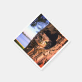 AI-uil Servet (Hoek)