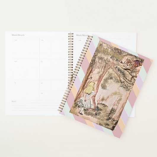 AICE IS HIER STRIPES EN SPEELT PLANNER (Display)