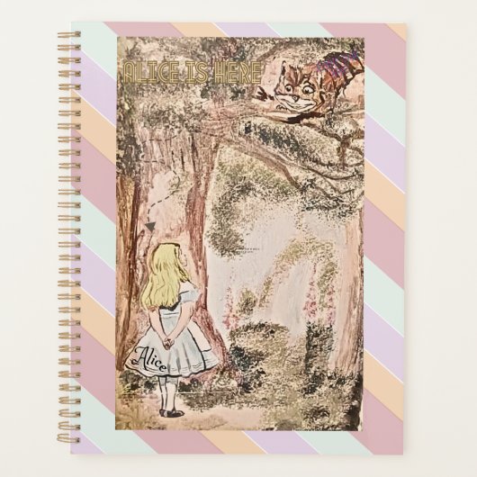 AICE IS HIER STRIPES EN SPEELT PLANNER (Voorkant)