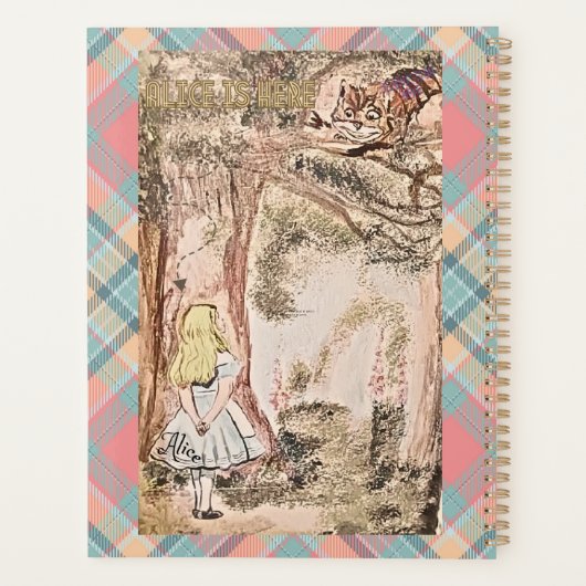 AICE IS HIER STRIPES EN SPEELT PLANNER (Achterkant)