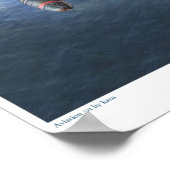 Aichi M6A Seiran Poster (Hoek)