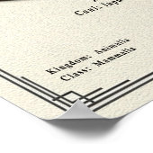 Aidi Zoölogie Serie Poster (Hoek)