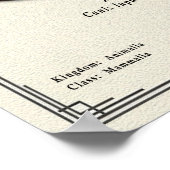 Aidi Zoölogie Serie Poster (Hoek)