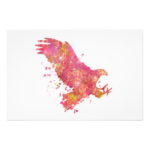 Aigle Oiseaux Forêt Sauvage Natuur Monde Terre Vol Foto Afdruk