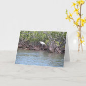 Aigrette in Mangroven Kaart (Gele Bloem)