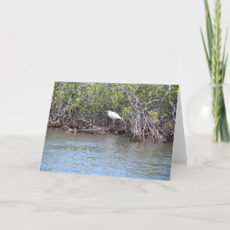 Aigrette in Mangroven Kaart