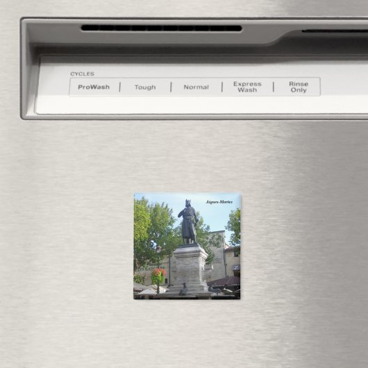 Aigues-Mortes - Magneet (Insitu (Vaatwasser))