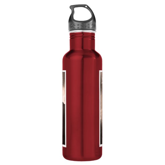 Aiguille du Midi, Mont Blanc Mountain Waterfles (Achterkant)