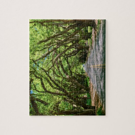 Aiken's Zuid-Boundary puzzel (Verticaal)