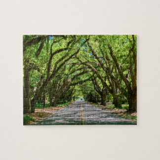 Aiken's Zuid-Boundary puzzel Legpuzzel