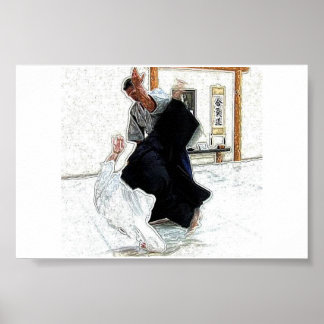Aikido Action Poster