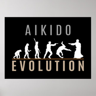 Aikido Evolution Poster