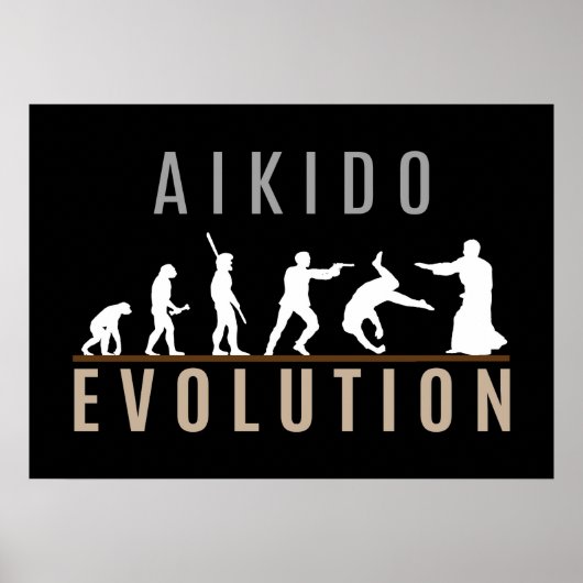 Aikido Evolution Poster (Voorkant)