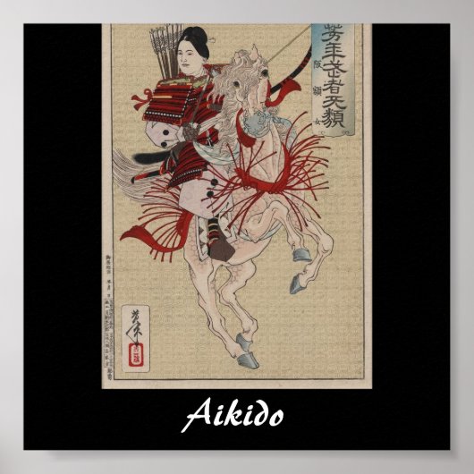 Aikido Japanese Martial Art Poster (Voorkant)