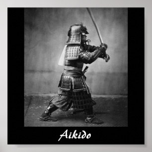 Aikido Japanse martial Art Poster