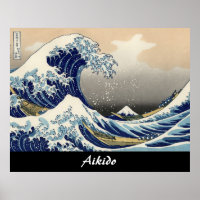 Aikido Japanse martial Art